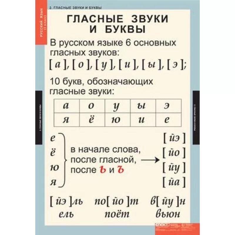 Сколько гласных звуков в русском и букв. Звуки и буквы русского языка. Таблица звуков и букв. Гласные звуки в русском языке. Гласные буквы и звуки в русском языке.