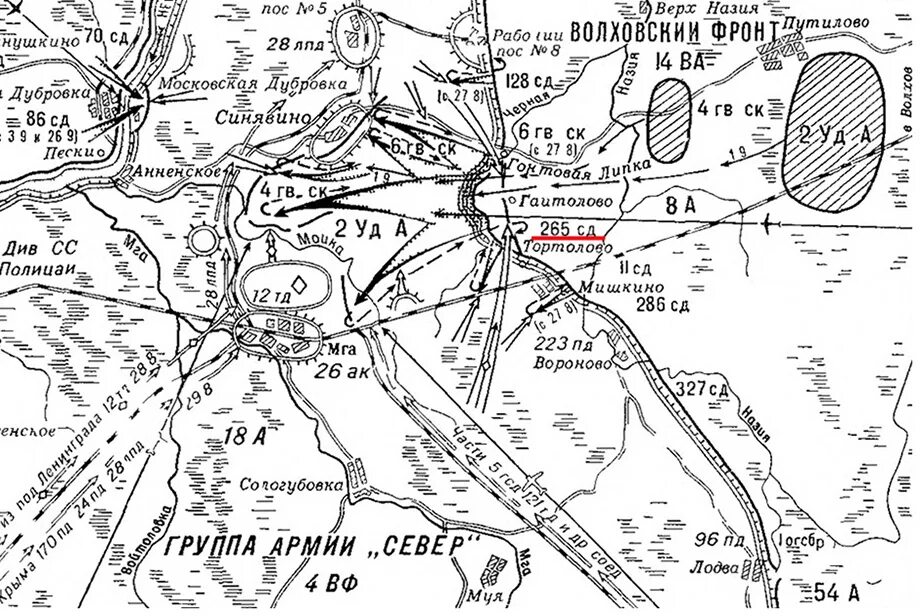 Операция Брусилов 1943 Мгинская. Синявинская операция 1942 года карта. Синявинская наступательная операция 1942 года Волховский фронт. Карта Волховского фронта 1942 год карта боевых действий. Любанская наступательная операция