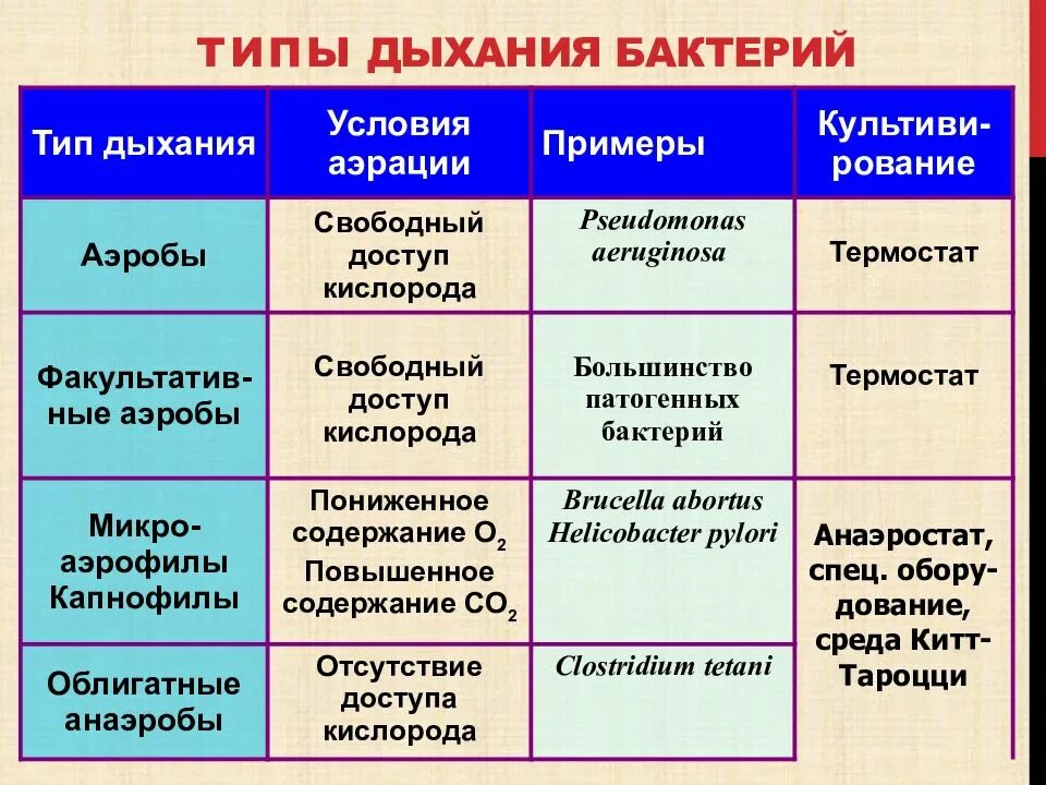 Какие различают бактерии по способу. Типы дыхания бактерий микробиология. Классификация бактерий по дыханию. Классификация микробов по типу дыхания. Дыхание микроорганизмов типы дыхания.