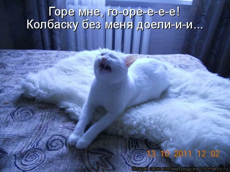 Живо требующие. Живо требующие. Живо требующие. Требования к качеству свежей рыбы. Живо требующие.