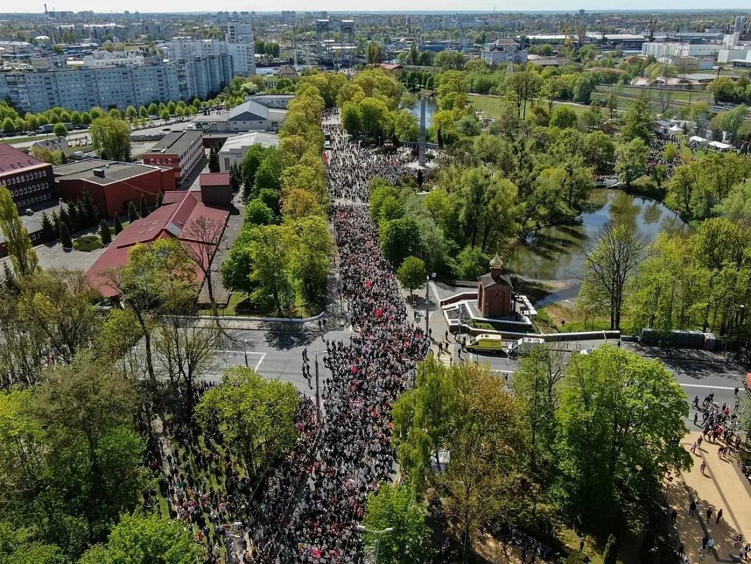 Калининград май 2023. Калининград май. Калининград в мае. Калининград на майские. Калининград в мае фото.