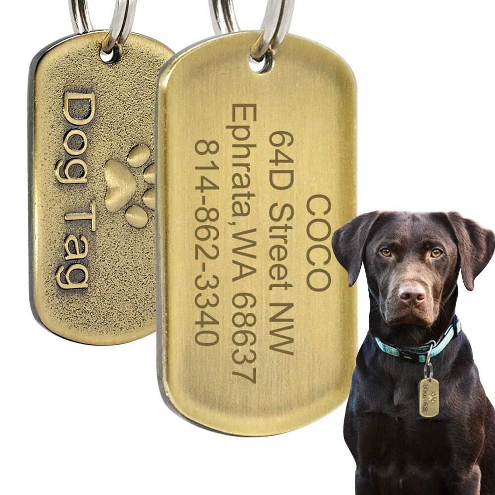 Жетон для собаки. Собака с биркой. Медальон для собаки. Бирка для собаки на ошейник. Бирка для собак