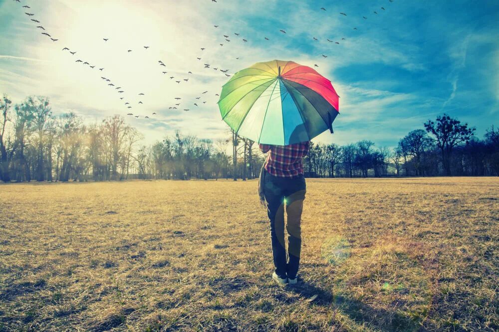 You take an umbrella today. Фотосессия с зонтом летом. Девушка с разноцветным зонтом. Девушка под радужным зонтом. Девушка под зонтом со спины летом.