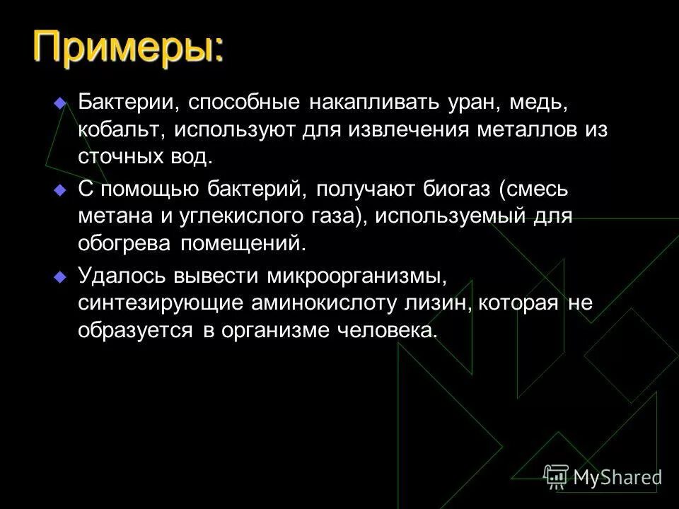генная инженерия схема. бактериологический метод диагностики e coli. очищение сточных вод бактериями. пример периодического культивирования. антибиотики полученные из бактерий.