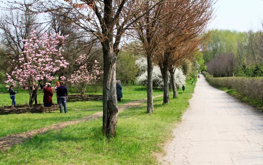 Парки кишинева. Кишиневский Ботанический сад Молдавия. Кишинев Ботанический сад парк. Кишинёвский дендрологический сад. Ботанический сад Академии наук Республики Молдова.