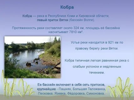 Исток реки сканворд