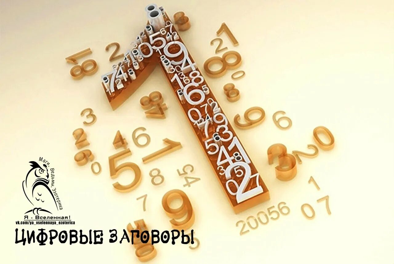 Число робких