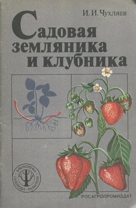 Земляника книга. Чухляев Садовая земляника и клубника книга. Выращивание земляники книга. Земляника в книжке. Книги по выращиванию клубники.