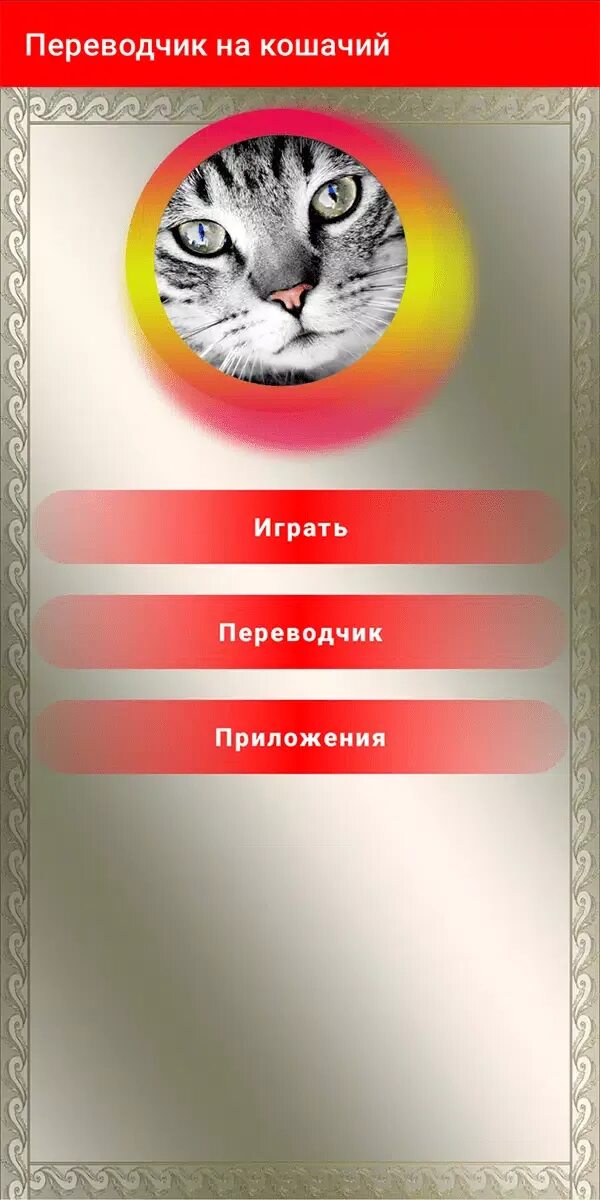 Переводчик на кошачий язык. Кошачий язык переводчик. переводчик кошачива языка. перевод на кошачий язык. разговорный язык кошек.