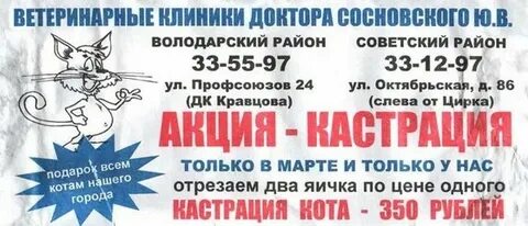 Рассказы про кастрацию