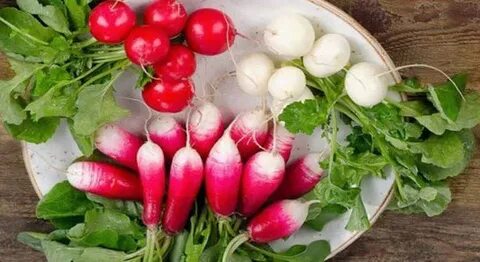 Редиска при сахарном диабете