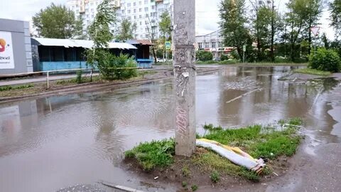 Реальный омск