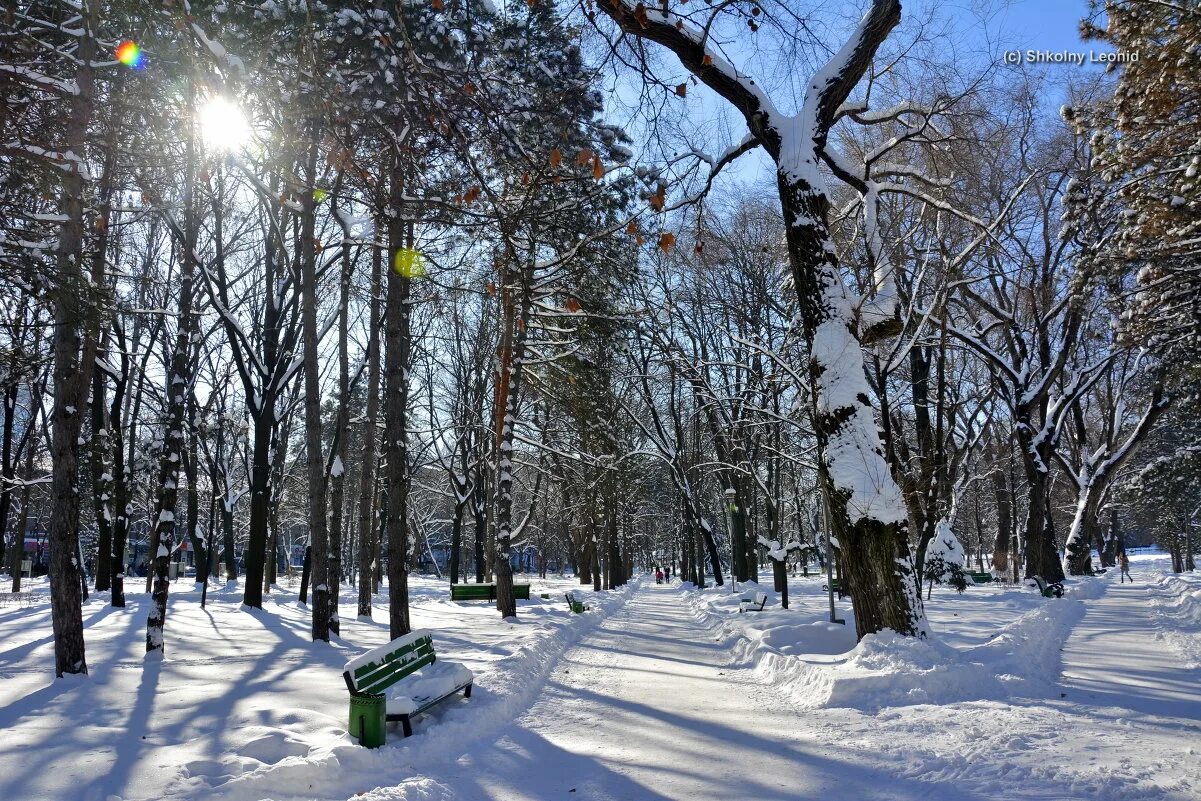 Парки кишинева. Молдова зима Кишинев. Кишинев зимой. Chisinau зима. Зима в Молдове.