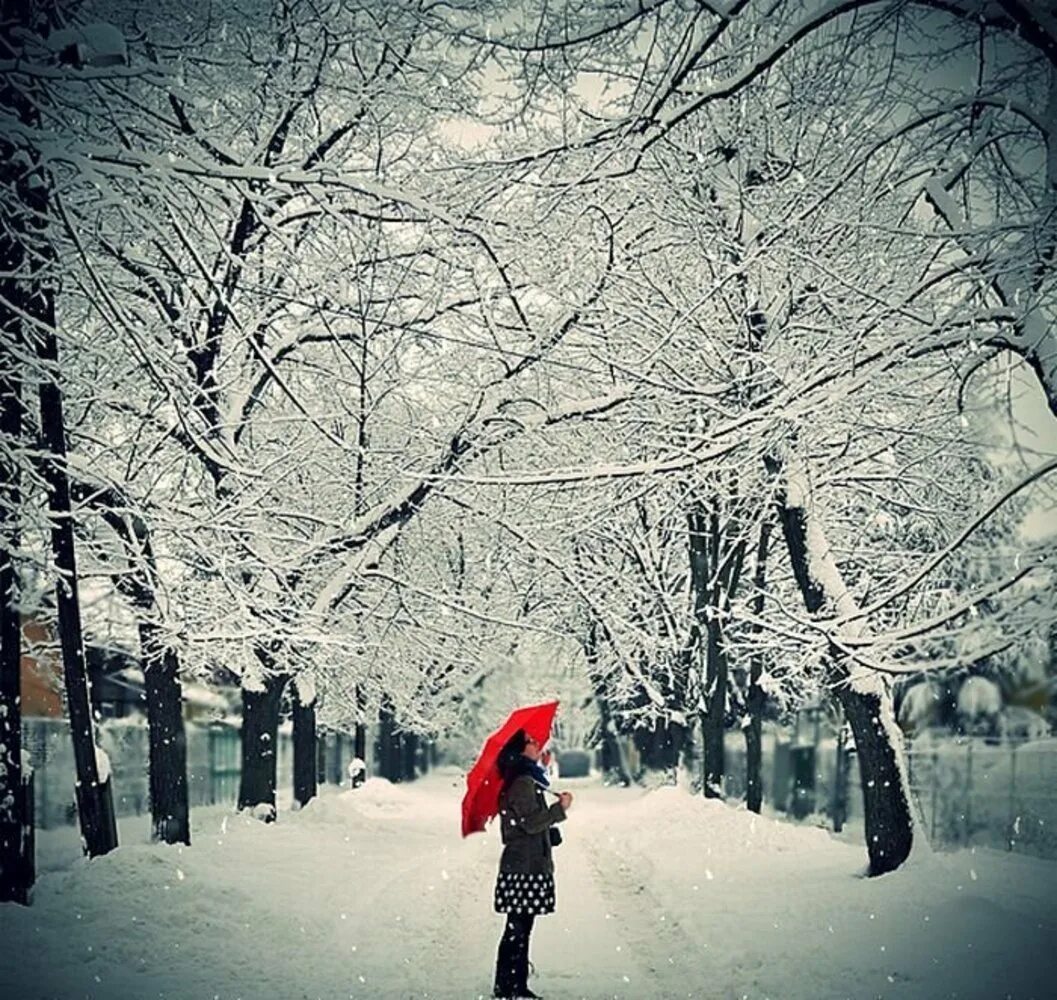 девушка в снегу. девушка зимой. зима для айфона. зима снежинки. фон снежинки.