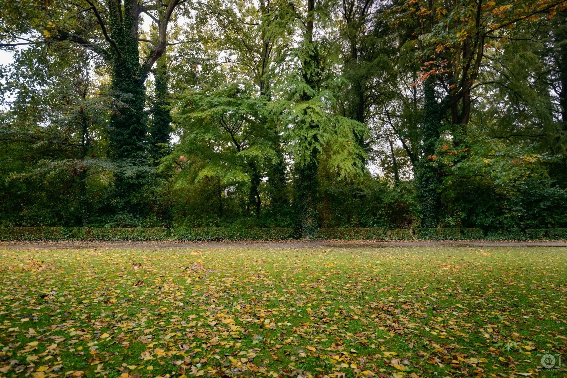 Background park
