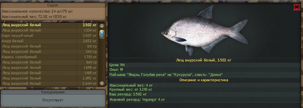 реальная рыбалка амурский лещ. реальная рыбалка амурский лещ. длительность жизни рыб. вес рыбы. где обитает белый амурский лещ.