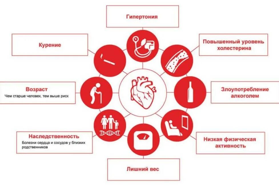 Русский повышенный уровень. Факторы риска развития сердечно-сосудистых заболеваний. Факторы развития заболеваний ССС. Факторы риска при ССС заболеваниях. Гипертоническая болезнь факторы риска рисунок.