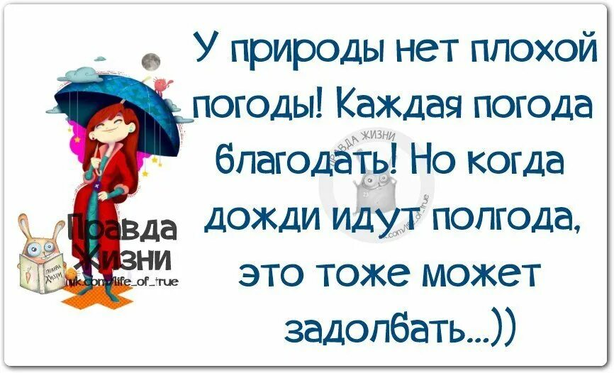 Афоризмы про погоду. Цитаты про погоду. Смешные фразы про дождь. Веселые статусы в картинках про погоду. Мысли о погоде и настроении