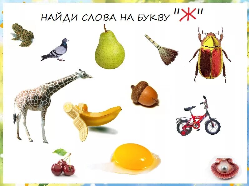 Предметы в названии которых есть звук в. Слова на букву ж. найди слова на букву ж. предметы со звуком ж. предметы на букву ж.