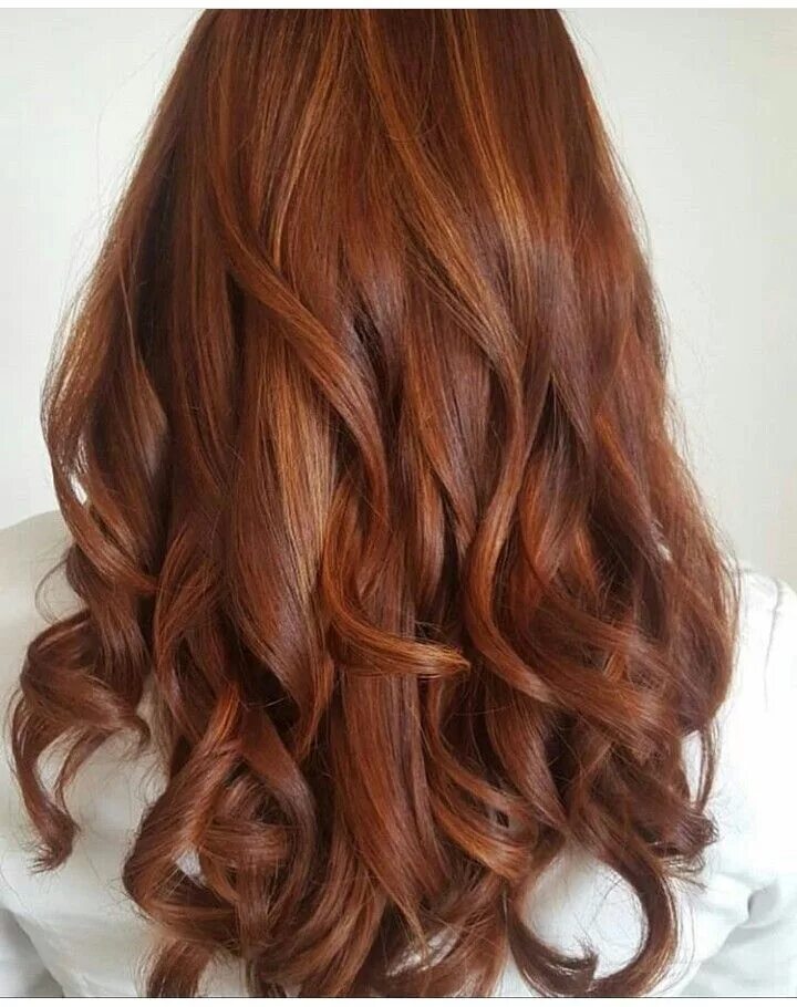 Mahagoni: Das musst du über die Trendhaarfarbe wissen! Cheveux, Cheveux auburn, 