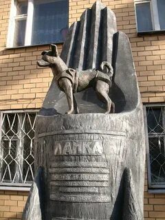 Памятник собаке лайке