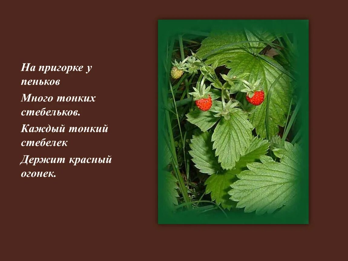 Пригорок горбил значение