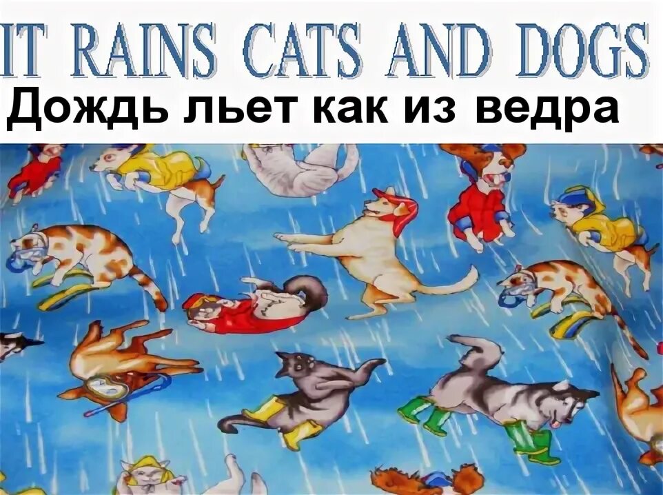 Raining Cats and Dogs. Идиомы it's raining Cats and Dogs. It Rains Cats and Dogs. Raining Cats and Dogs идиома.