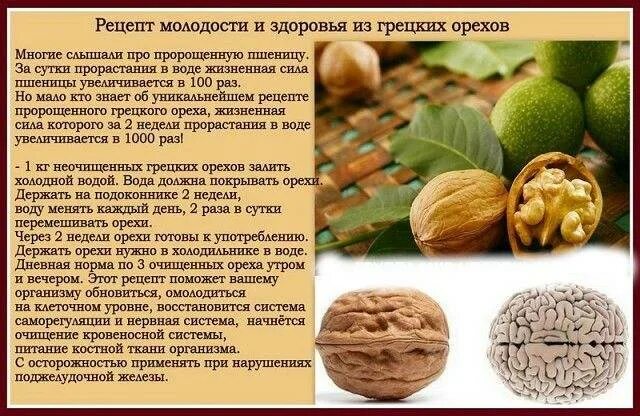 Какая польза от грецких