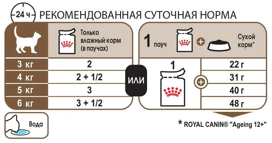 Как правильно кормить кошек сухим. Норма сухого корма для кошек в день таблица Роял. Сухой корм для кошек норма в день. Норма сухого корма для кошек в день. Норма влажного корма для кота в день.