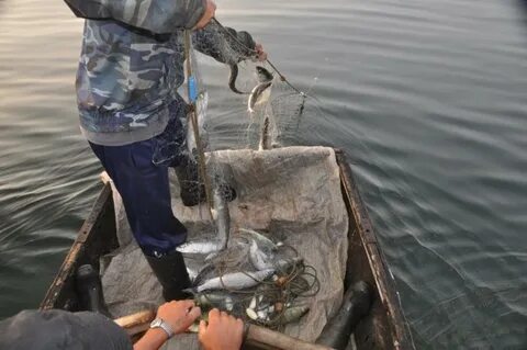 Тегін порно анальды фотосуреттер