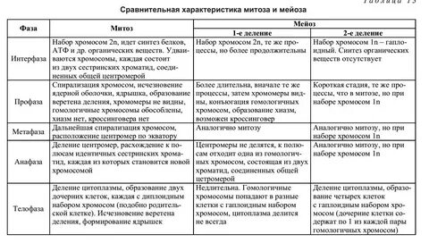 Характеристика митоза 9 класс