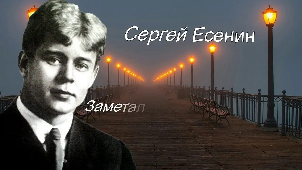 Изряднова жена есенина. Есенин наваи слушать. Птичка hammali navai текст. Есенин наваи слушать. Есенин наваи слушать.