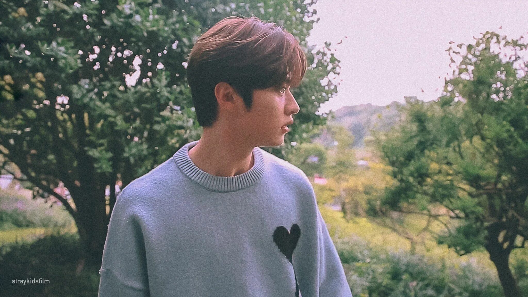 Минхо Stray Kids. Ли мин Хо Stray Kids boyfriend material. Lee know. Lee know Stray Kids бойфренд материал.