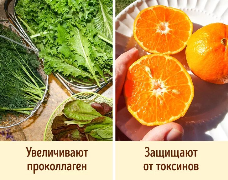 Где содержится коллаген в каких. Коллаген в продуктах. продукты вырабатывающие коллаген. продукты богатые коллагеном и эластином. овощи содержащие коллаген.