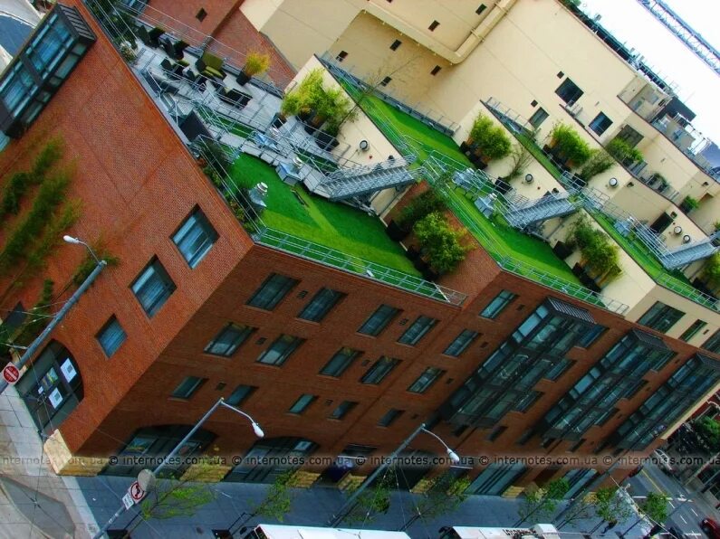 Зеленая крыша читать. Эксплуатируемая плоская кровля Green Roof. Кандинский зеленая кровля. Экстенсивная зеленая кровля. Экстенсивная зеленая кровля плоская.