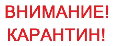 Определите происхождение слов карантин