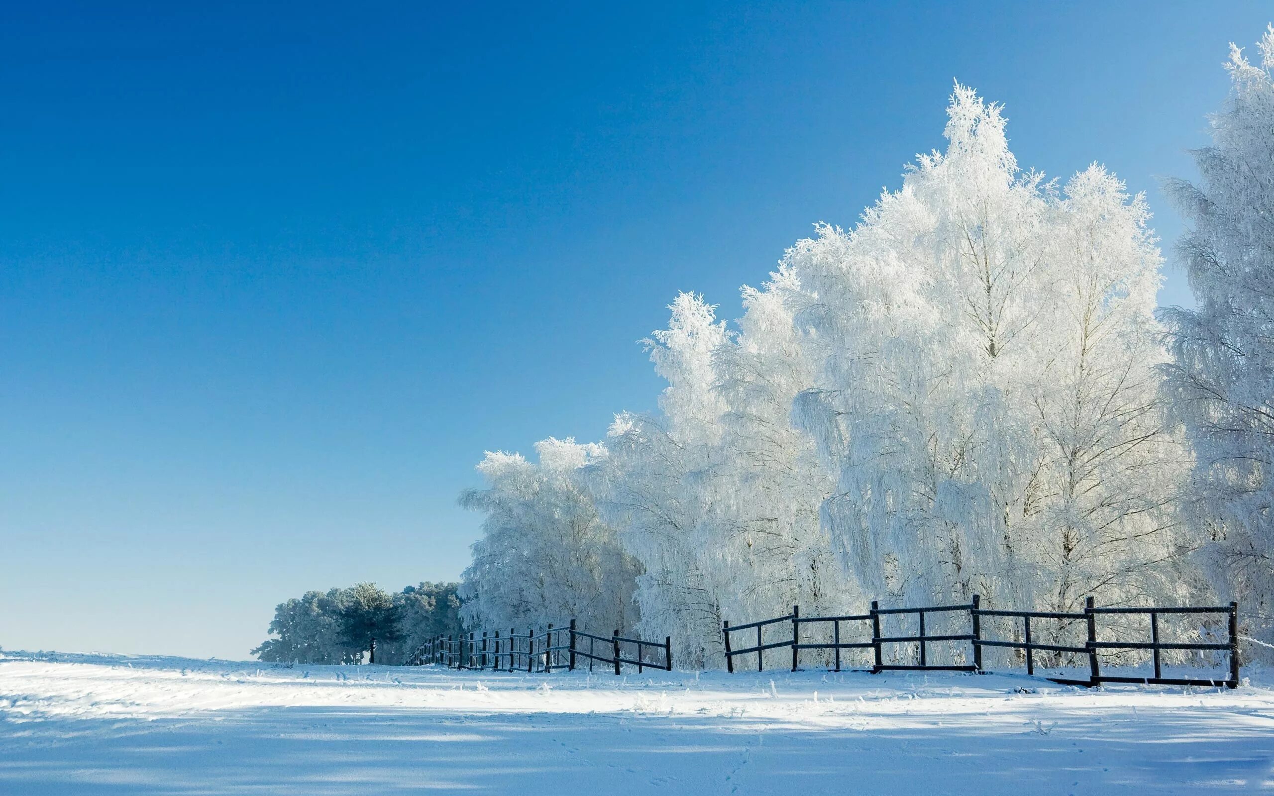 Зимняя природа. Зима пейзаж. Снежный пейзаж. Зима снег. Зимнее снежное день