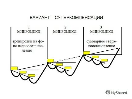 Физиологическая основа принципа суперкомпенсации
