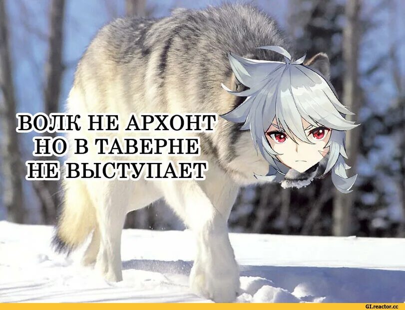 Чем покормить юмкозавра геншин. Чем покормить юмкозавра геншин. Чем покормить юмкозавра геншин. Чем покормить юмкозавра геншин. Чем покормить юмкозавра геншин.