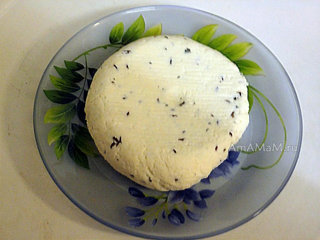 домашний сыр со сметаной и яйцами