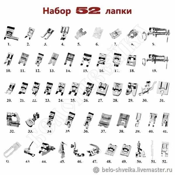 Лапка значения