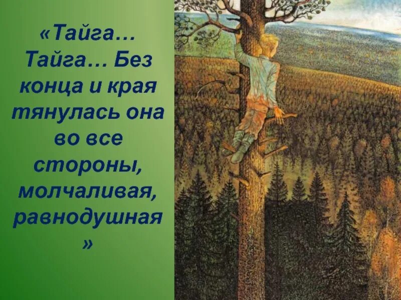 Время года в рассказе васюткино озеро. Васюткино озеро. Васюткино озеро 5 класс. Тайга Тайга без конца и края.