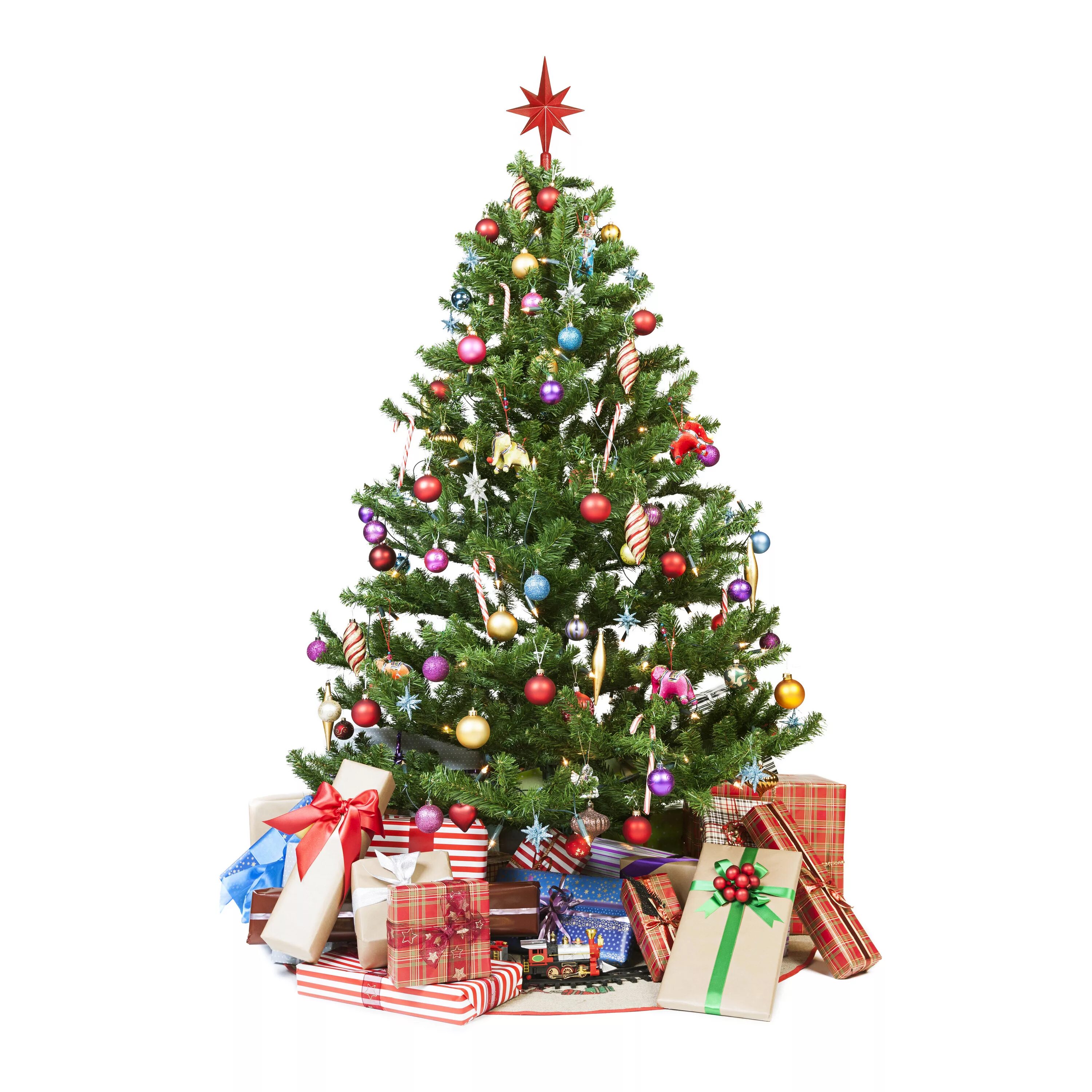 новогодняя елка на белом фоне. елка новый год на белом фоне. новогодняя ель на белом фоне. новогодняя елка. зеленая елка.