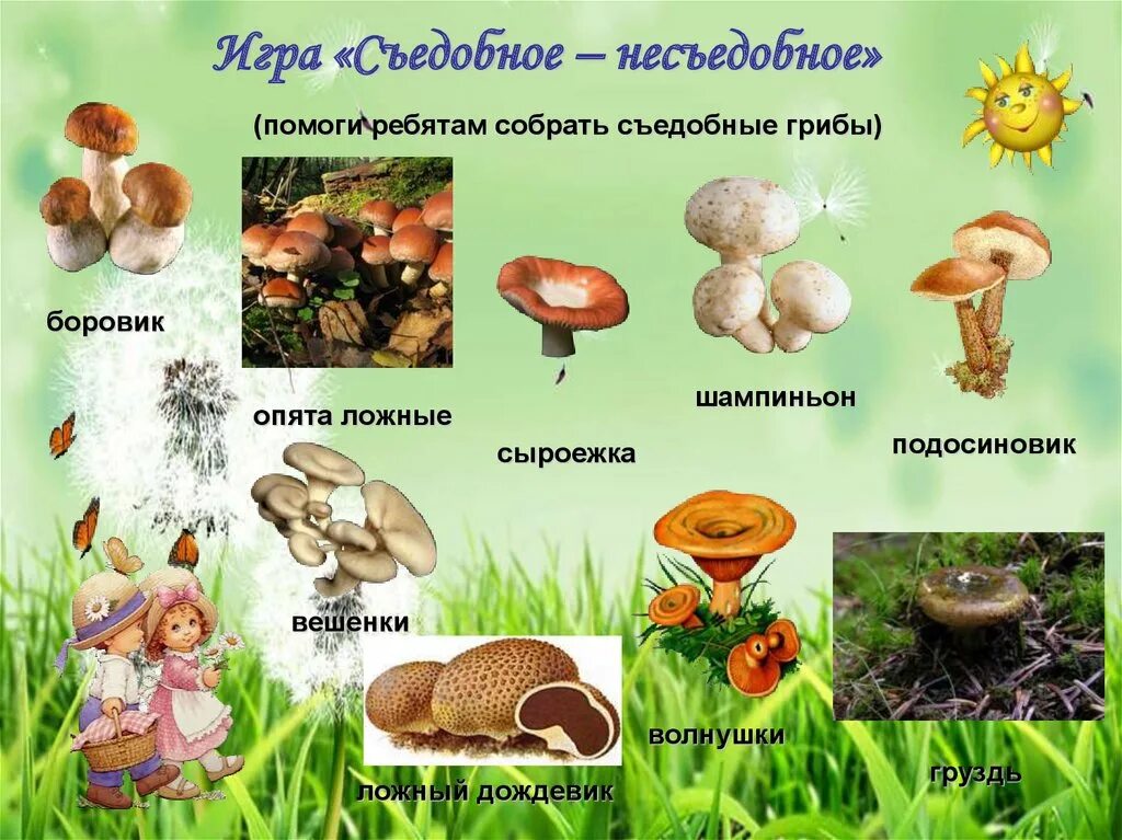 Несъедобные грибы для дошкольников. Игра съедобные не сбедобные грибы. Игра съедобные и несъедобные грибы. Съедобные грибы и ягоды. Про съедобные грибы и ягоды для детей