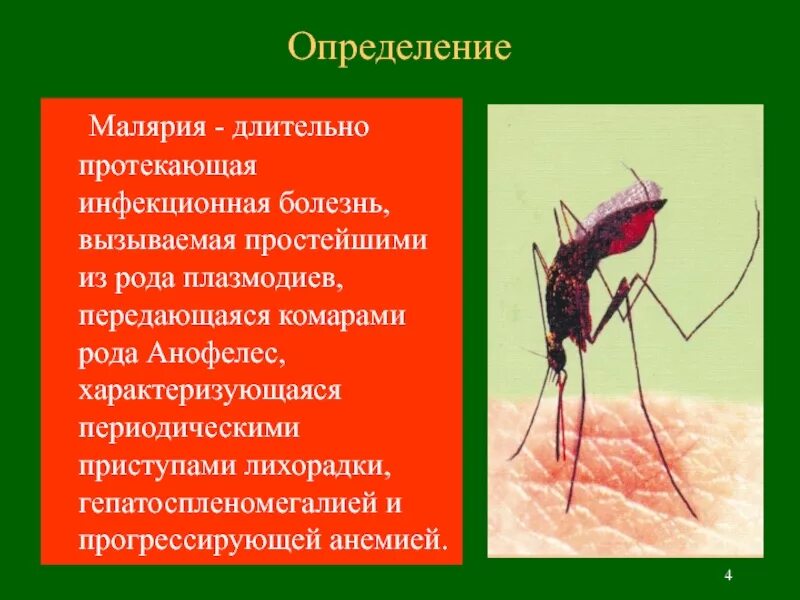 Заболел малярией. Инфекционные болезни малярийный комар. Малярия возбудитель малярийный комар. Переносчик малярии комар из рода анофелес. Малярия переносчик болезней.