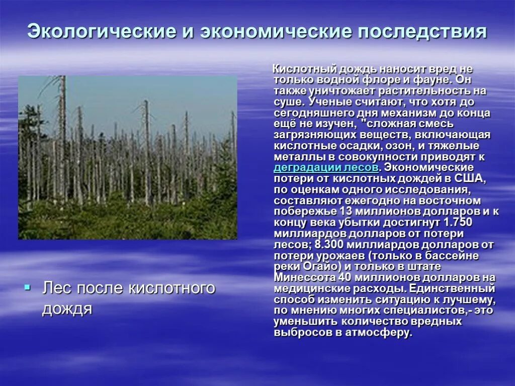 Воздействие кислотных дождей. Экологические и экономические последствия кислотных дождей. Кислотные осадки. Последствия кислотныхьдождей.