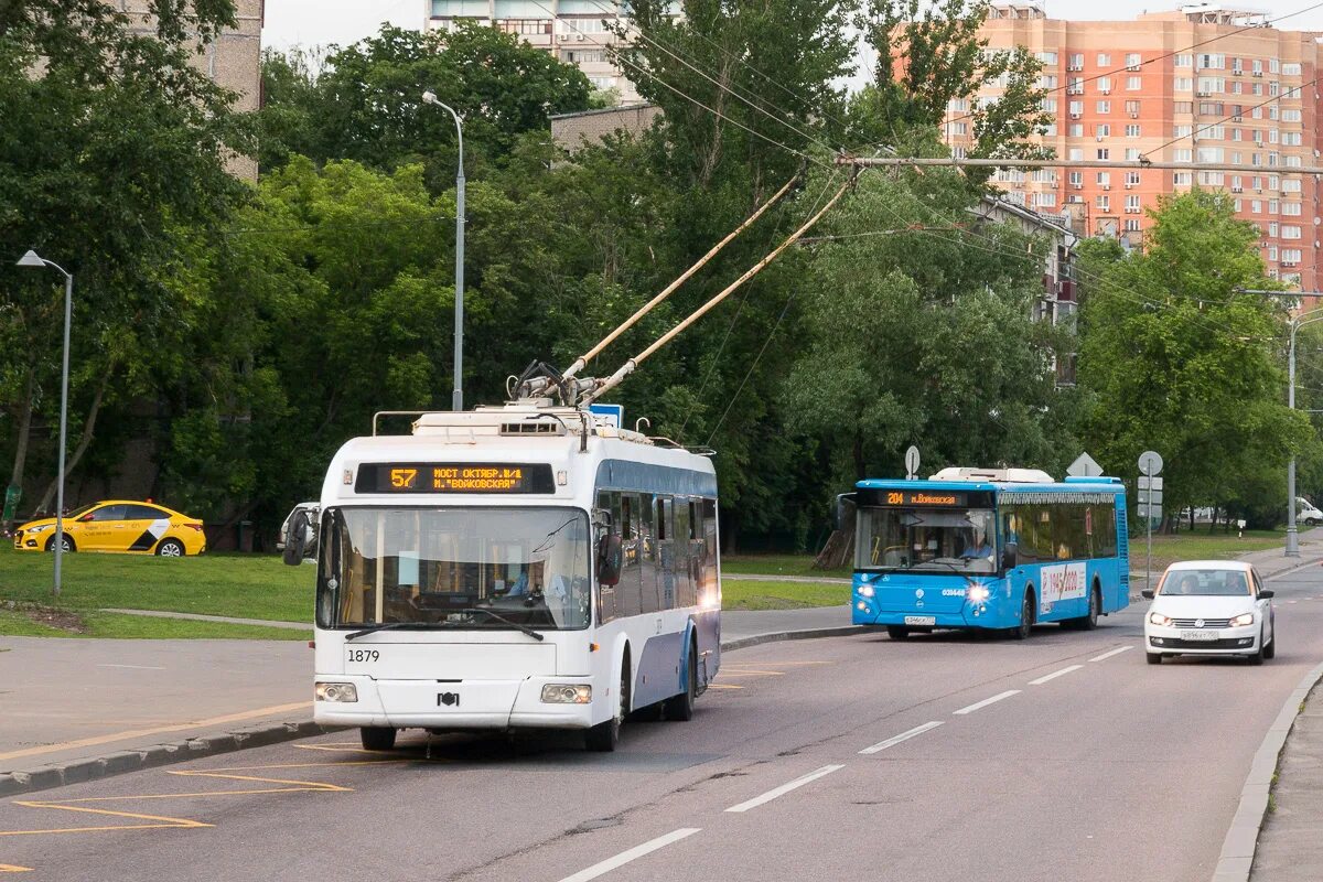 Бас57 орел