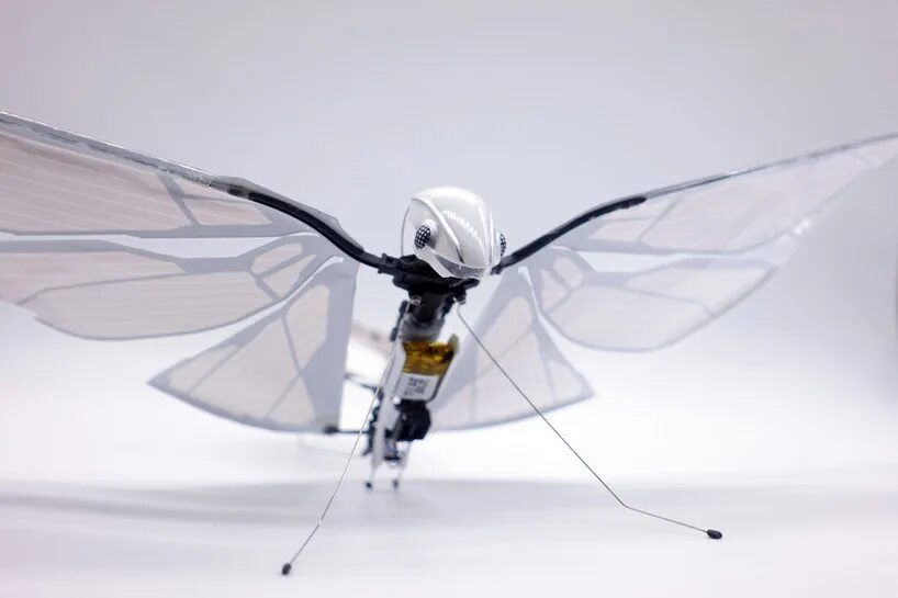 Робот Metafly. Бионические роботы насекомые. Летающие роботы насекомые. Насекомые дроны летающие. Flying robots