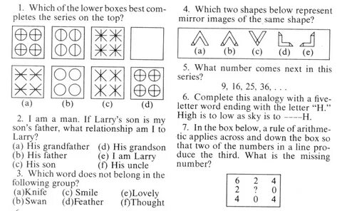 Mensa iq