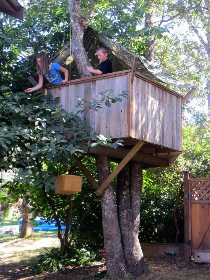 Make a tree house